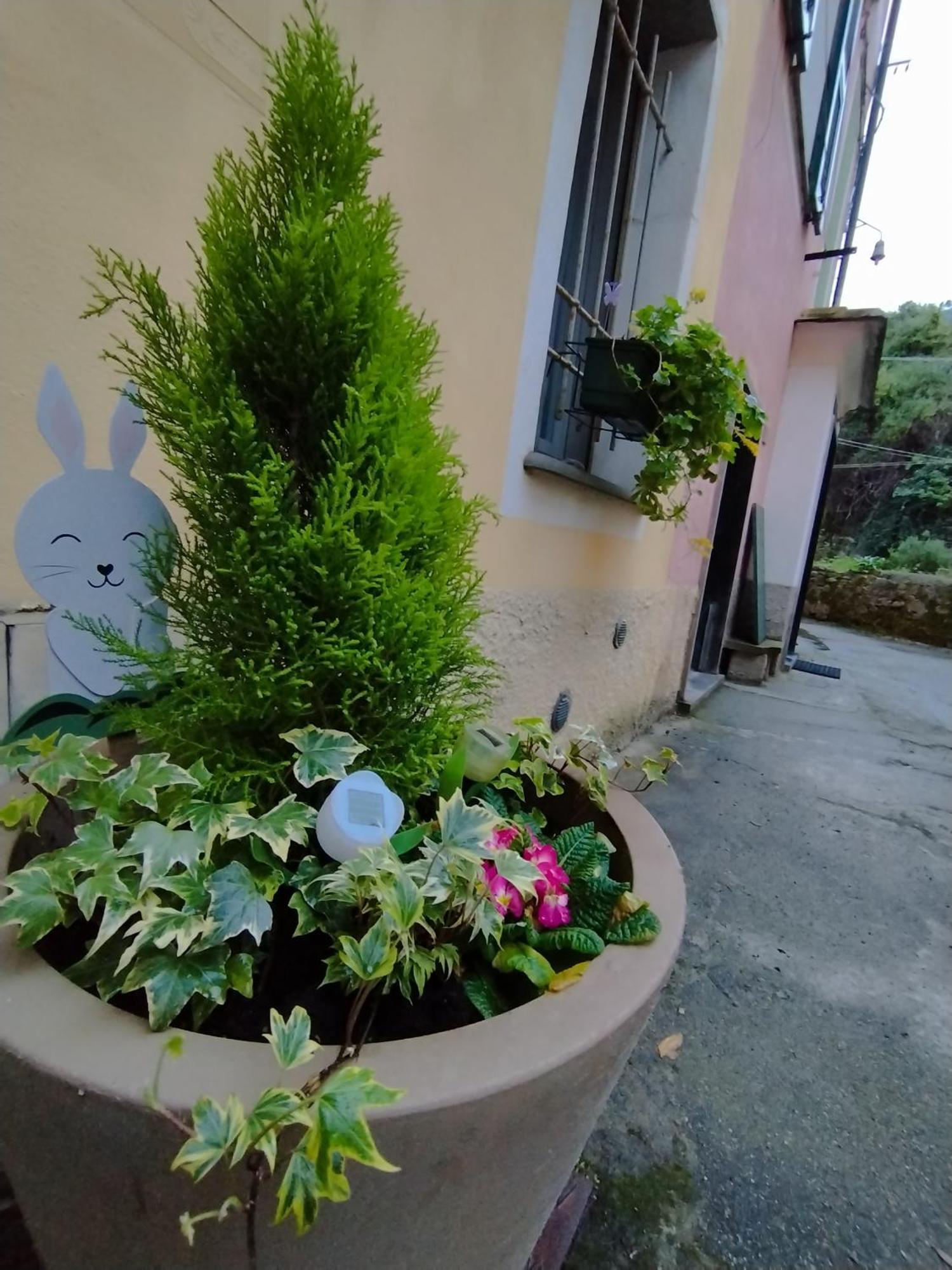 Nido Al Mare Apartment Bonassola Luaran gambar