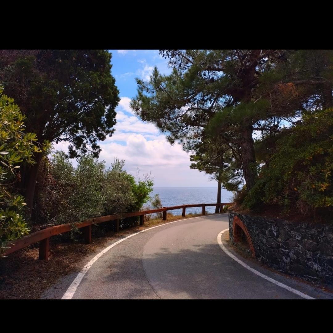 Nido Al Mare Apartment Bonassola Luaran gambar