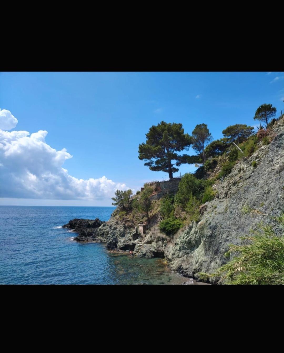 Nido Al Mare Apartment Bonassola Luaran gambar