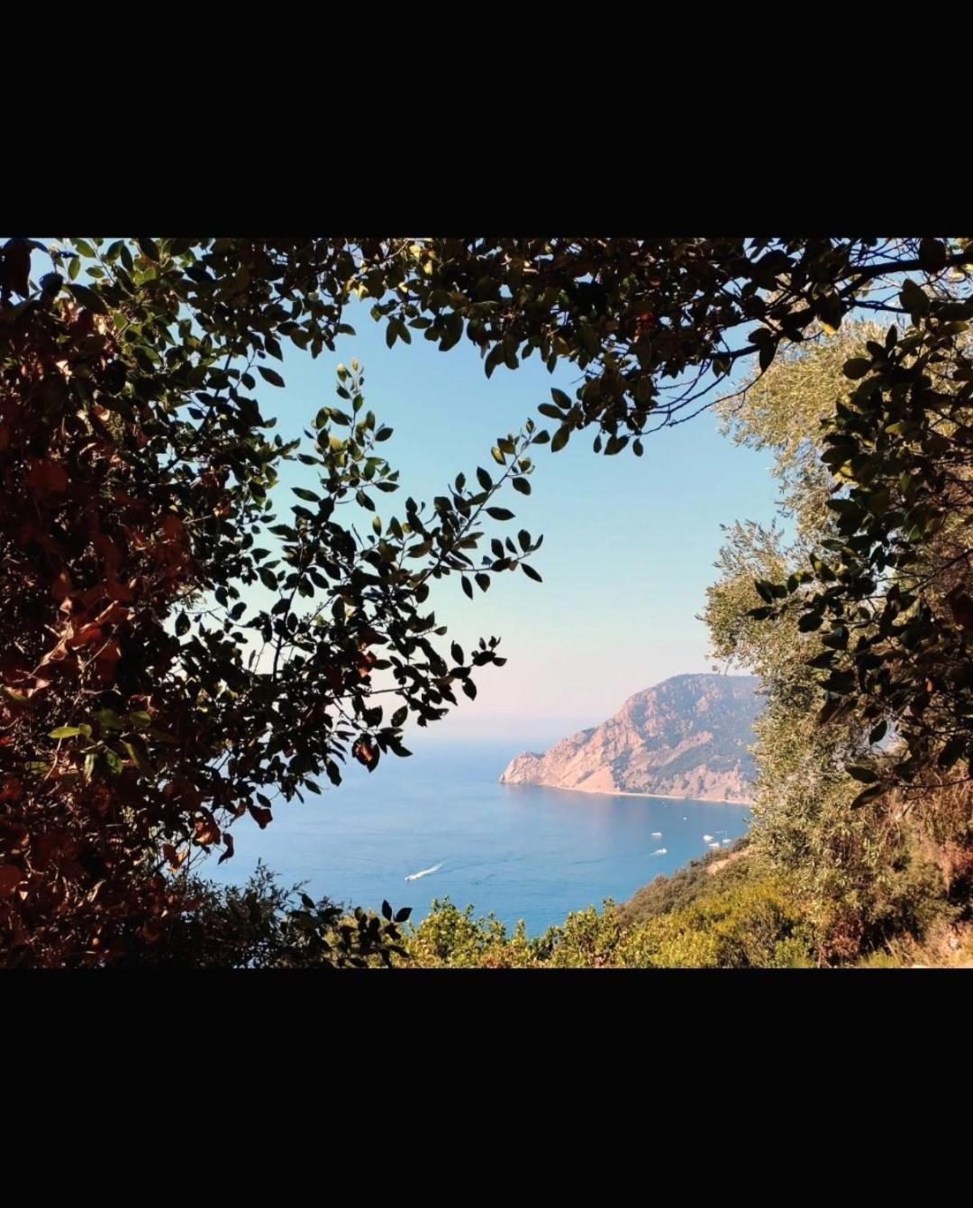 Nido Al Mare Apartment Bonassola Luaran gambar